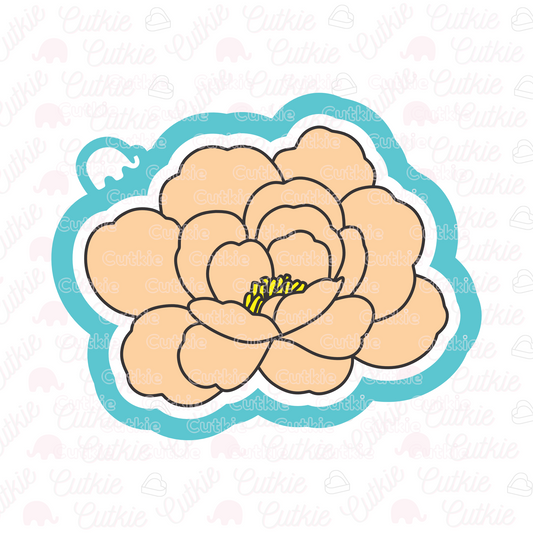 Flor peonia